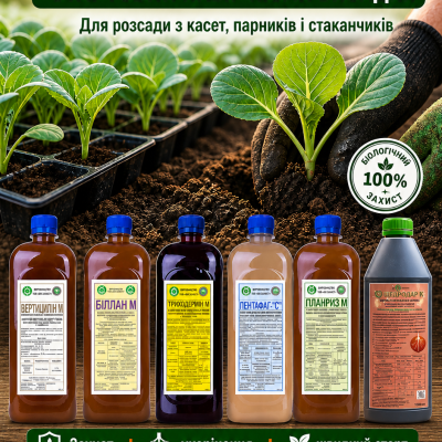 Старт КАПУСТИ 6 в 1